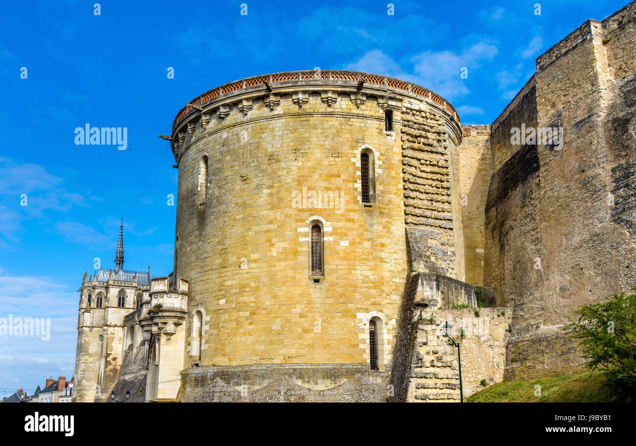 Chateau d'Amboise, uno dei castelli della Valle della Loira - Francia Foto Stock