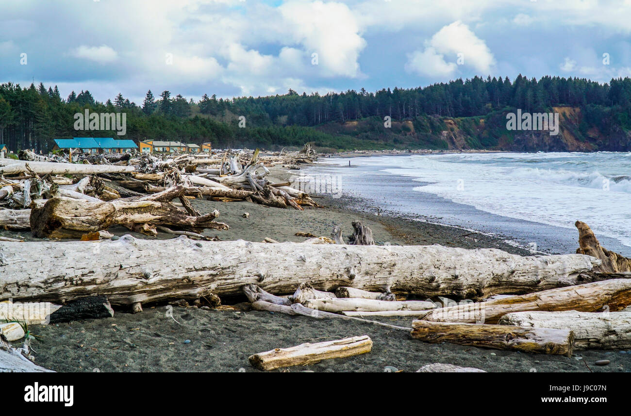 Impressionante la spiaggia di spinta a Washington - Forche - Washington Foto Stock