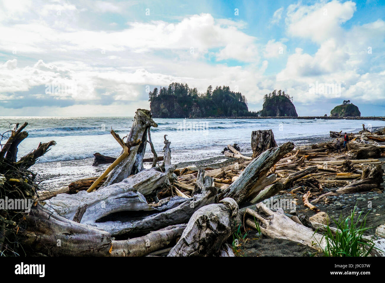 Il fantastico paesaggio di La spiaggia di spinta - Forche - Washington Foto Stock