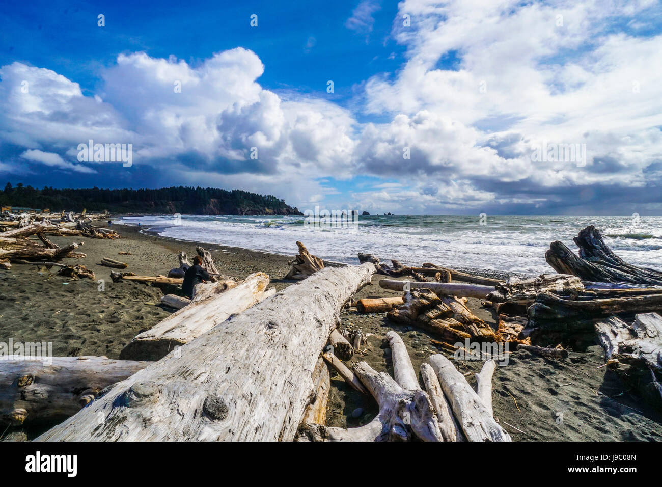 La straordinaria spiaggia di Push in Quileute indiano prenotazione - Forche - Washington Foto Stock