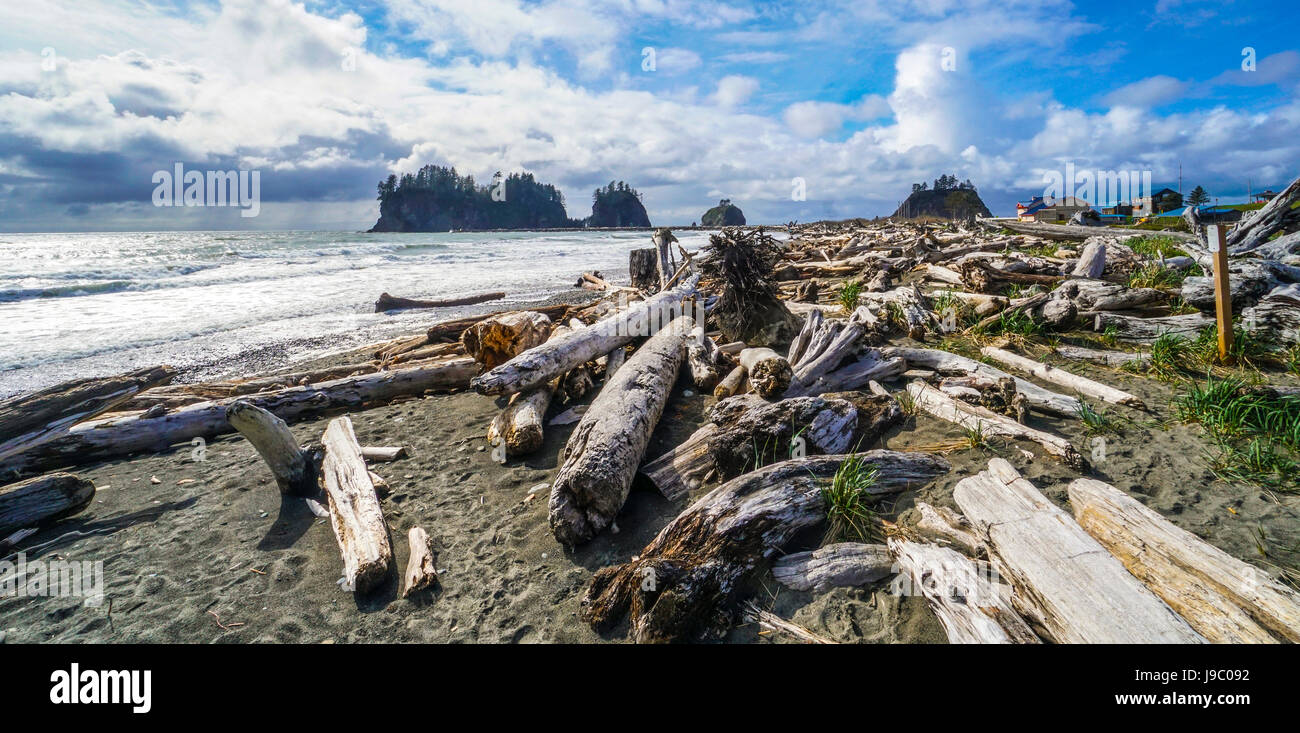 Bellissima linea costiera di La spingere nella contea di Clallam Washington - Forche - Washington Foto Stock