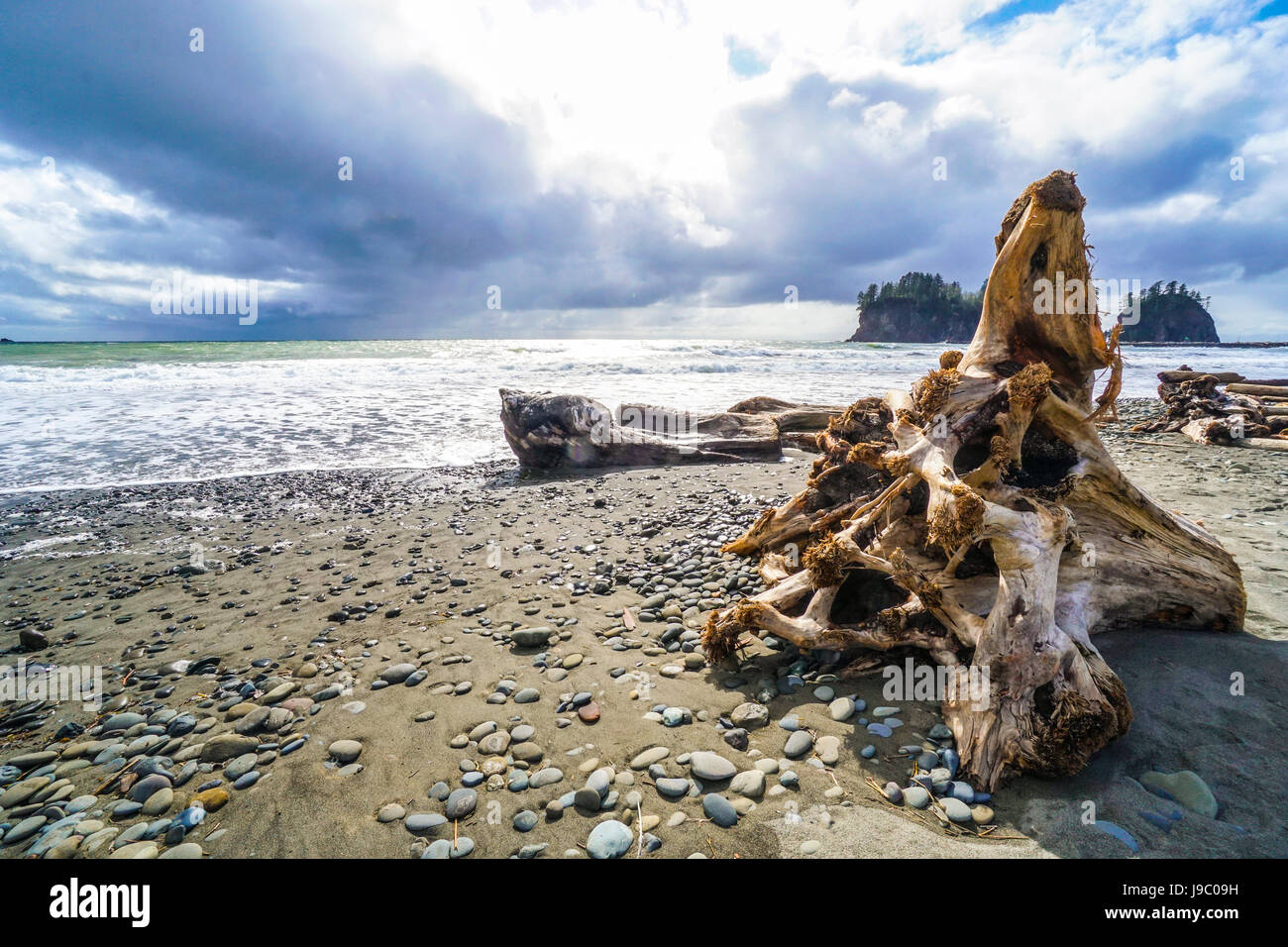 Il fantastico paesaggio di La spiaggia di spinta - Forche - Washington Foto Stock