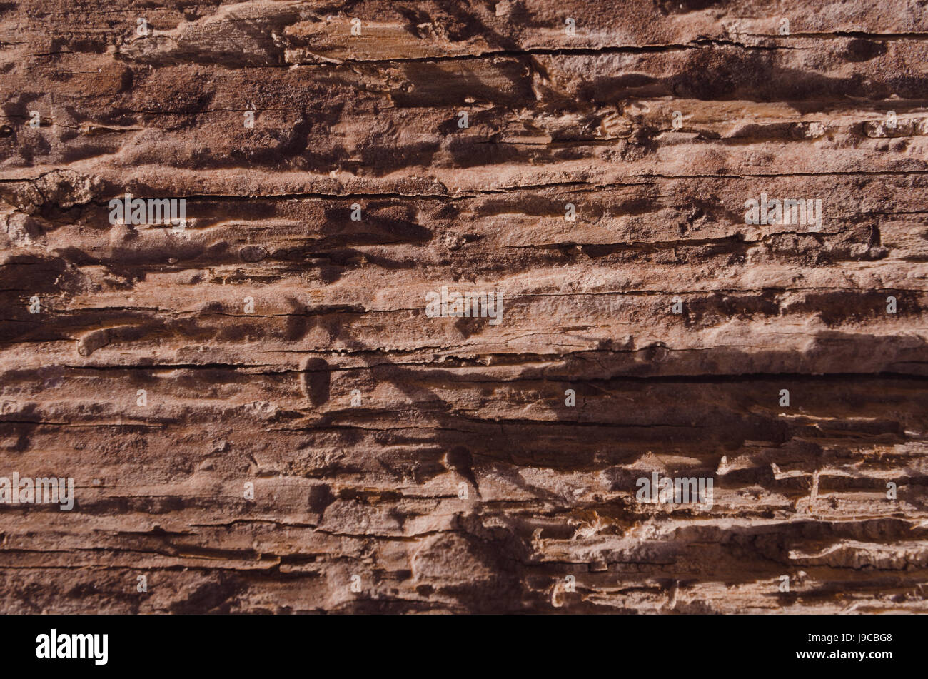 Allentate la tessitura di un albero marcio sfondo verticale, colore marrone Foto Stock