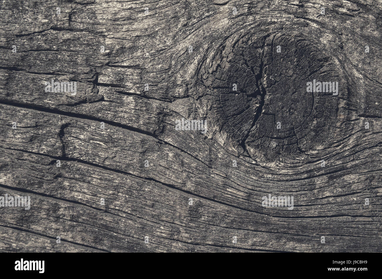 Fetta di una tavola di legno di colore scuro, sfondo orizzontale Foto Stock