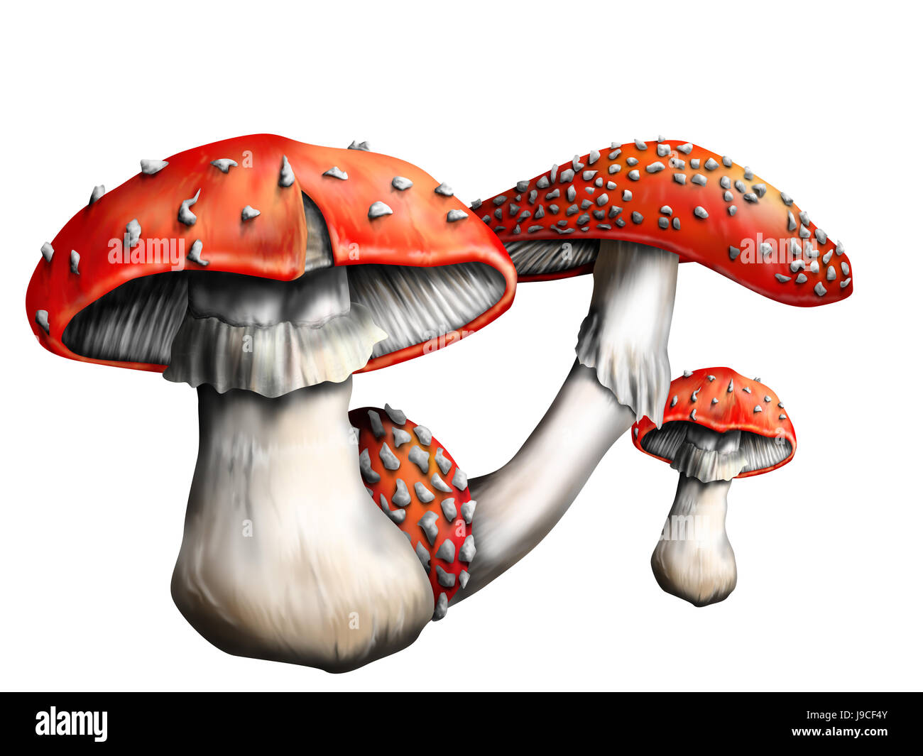 Fly agaric, veleno, Funghi, Funghi, magia, toadstool, tossiche e velenose, Foto Stock