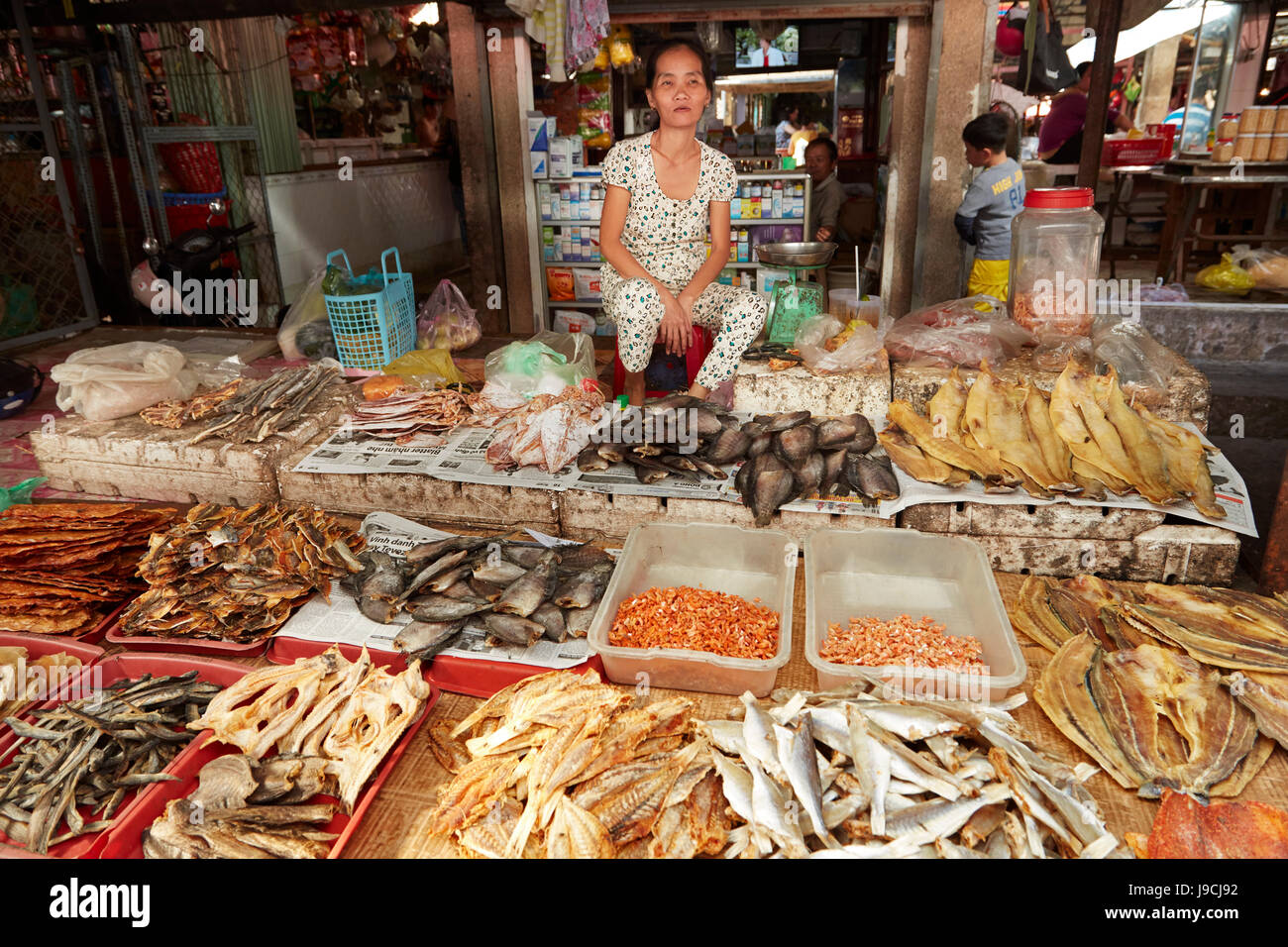 Donna vendita di pesci secchi, può Duoc Mercato, lungo una provincia, il Delta del Mekong, Vietnam Foto Stock