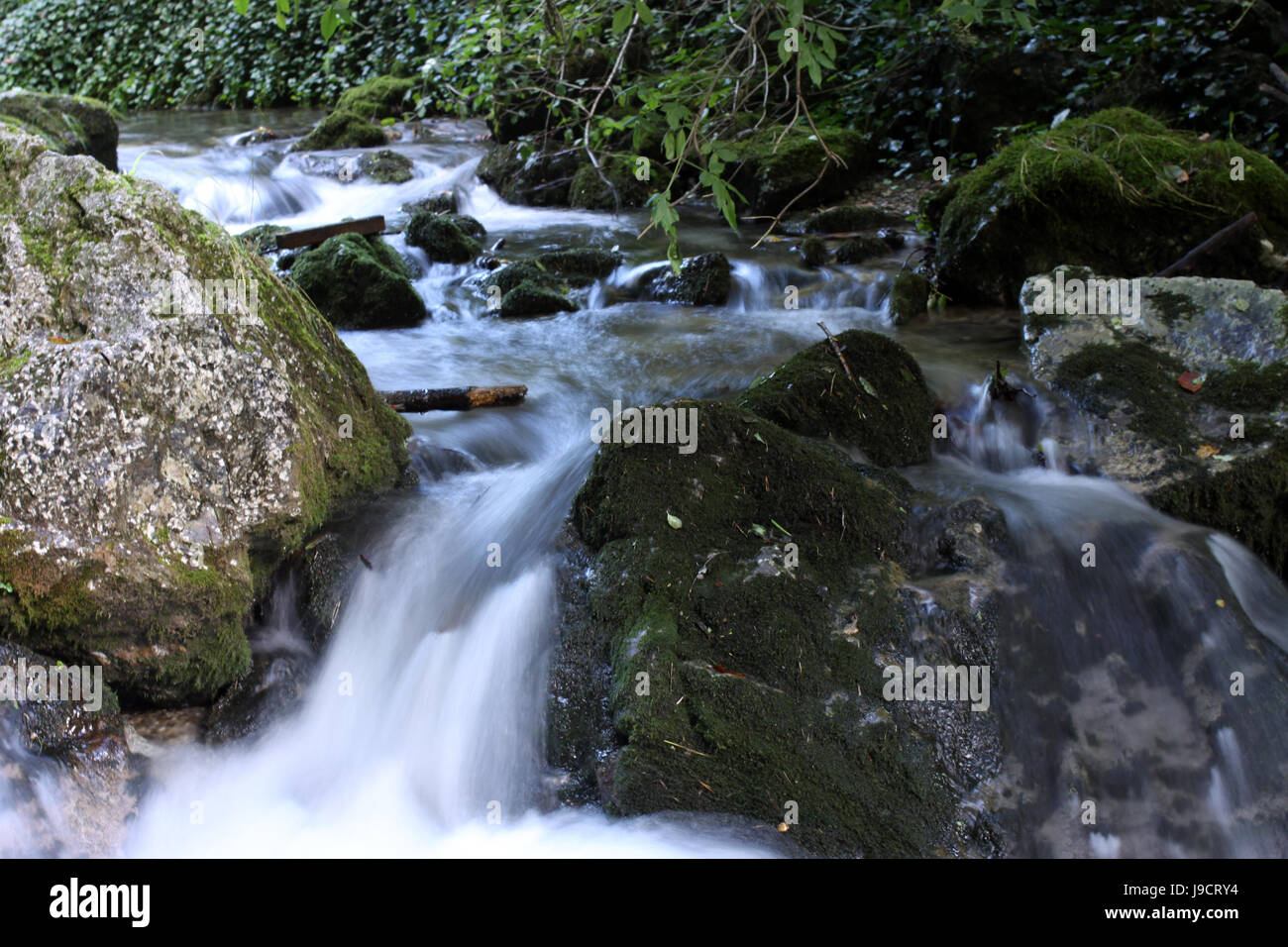 Stream, rock, runnel, streamlet, stream, rock, runnel, streamlet, montagna, Foto Stock