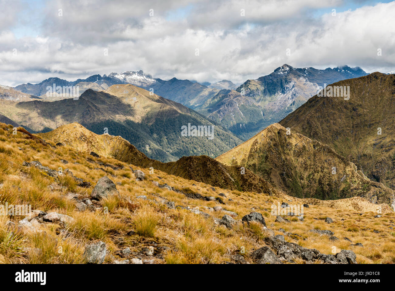 Keplero montagne, Alpi del Sud sul retro, Keplero via, Parco Nazionale di Fiordland, Southland, Nuova Zelanda Foto Stock