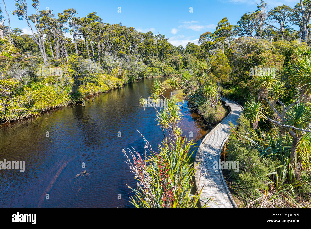 Fiume con il percorso, nave Creek, moderata nella foresta pluviale, Haast, West Coast, Nuova Zelanda Foto Stock