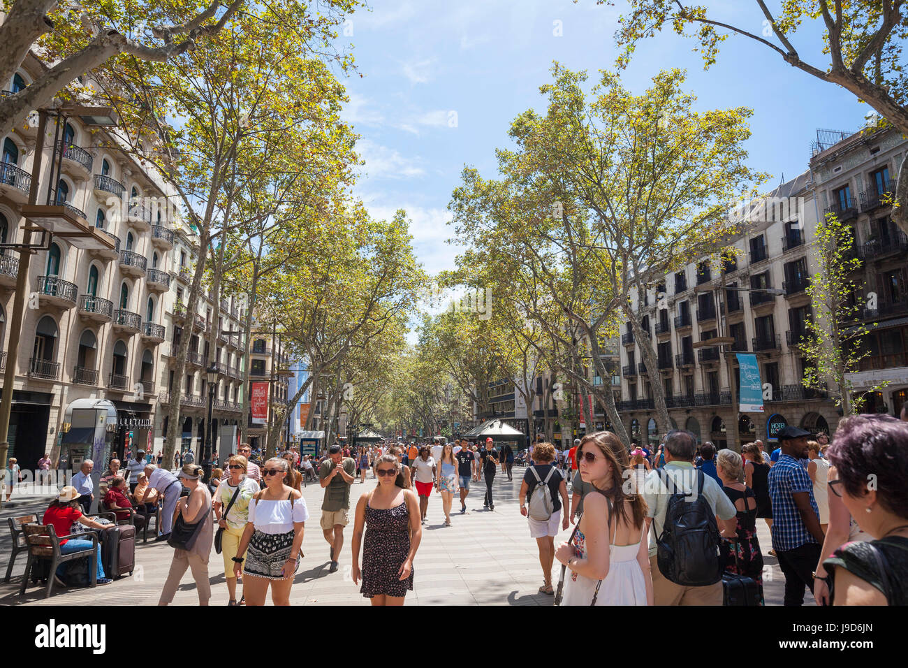 Las Ramblas, Barcelona, Catalogna, Spagna, Europa Foto Stock