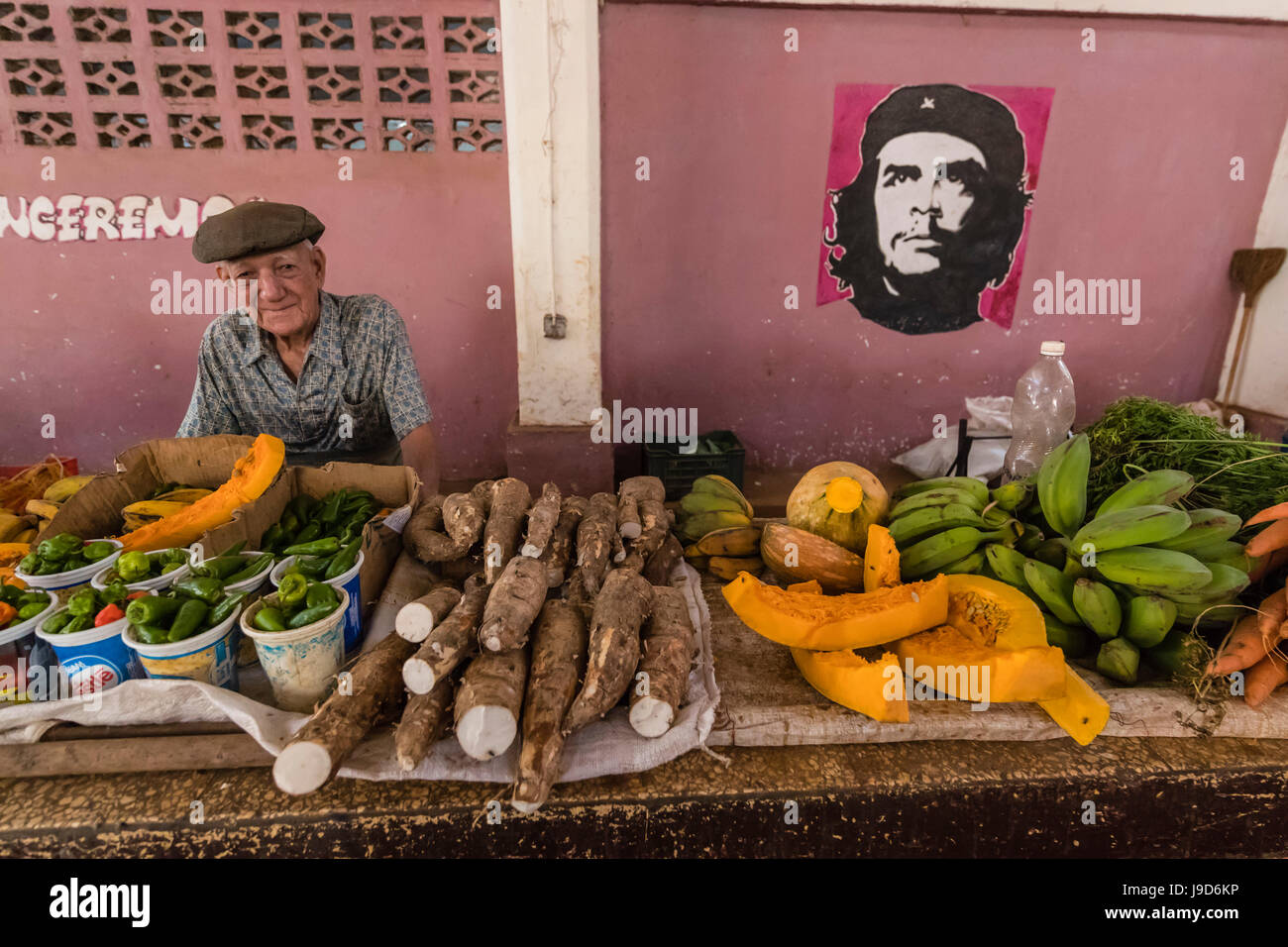 Frutta e verdura in vendita dal Venditore privato presso il Mercado Industrial a Cienfuegos, Cuba, West Indies, dei Caraibi Foto Stock