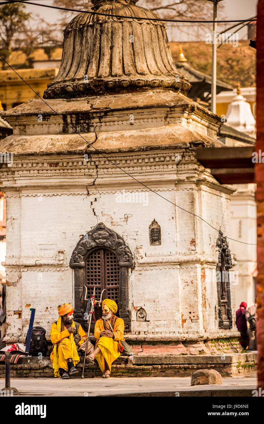 I santi uomini al tempio Pashupati, Kathmandu, Nepal, Asia Foto Stock