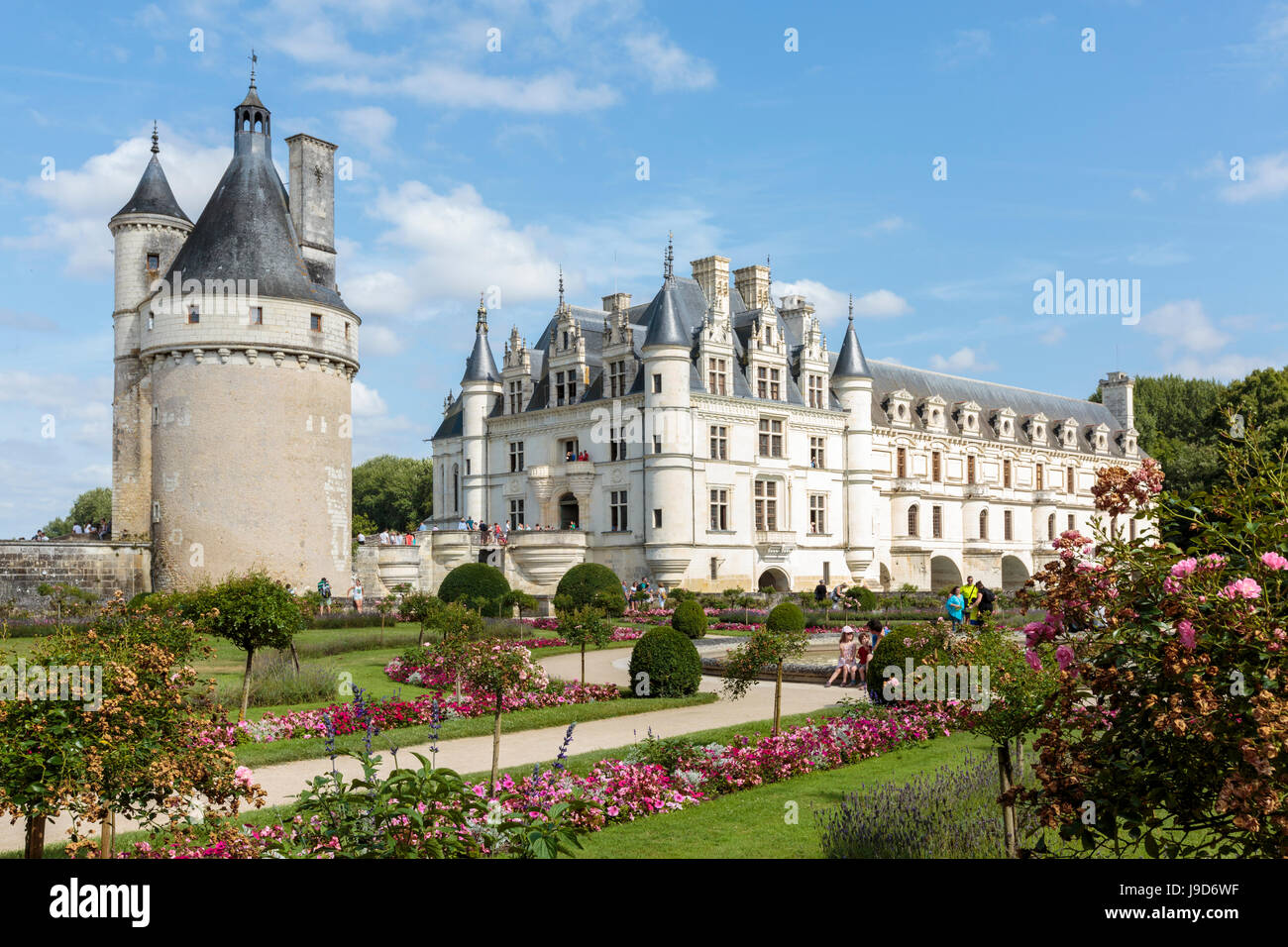 Fiori d'estate nel parco del castello di Chenonceau, Sito Patrimonio Mondiale dell'UNESCO, Chenonceaux, Indre-et-Loire, centro, Francia, Europa Foto Stock