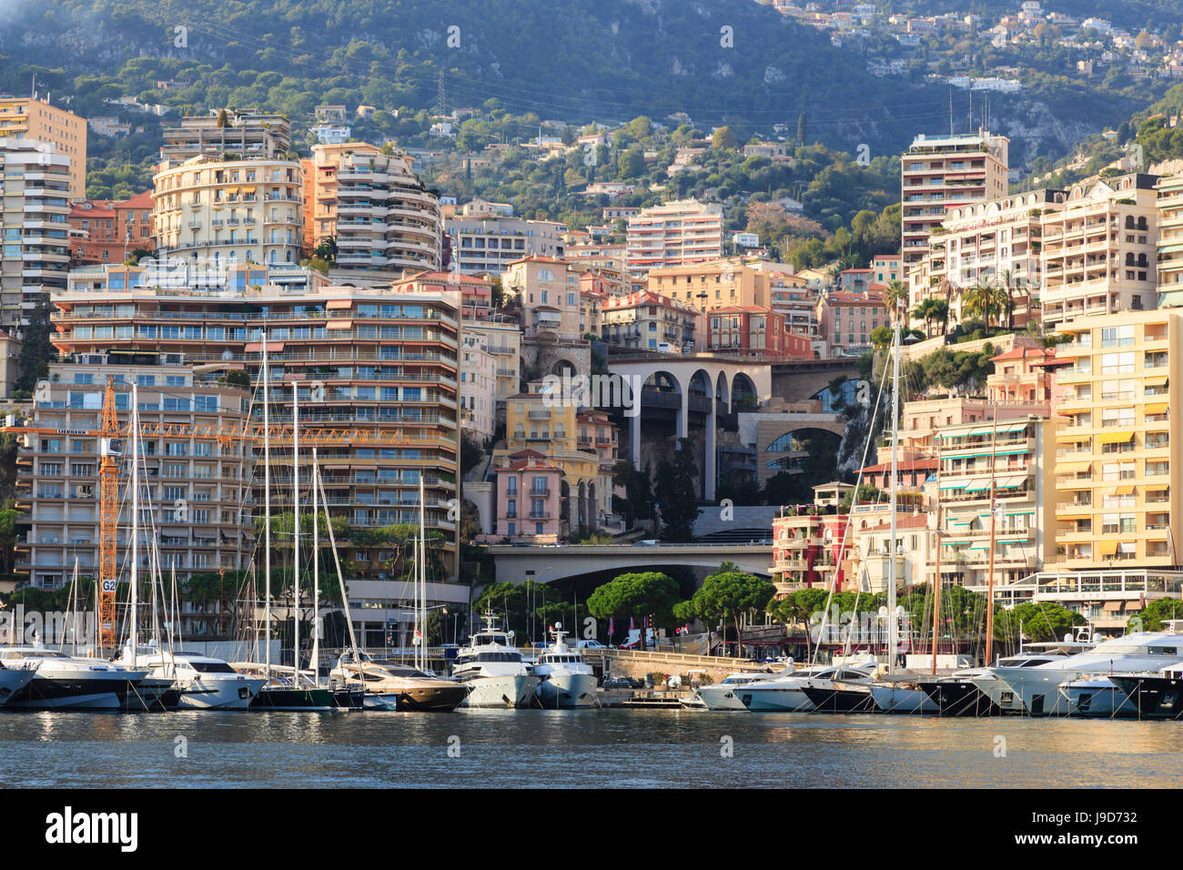 Le tinte pastello del glamour del porto di Monaco (Porto Ercole) con molti yacht, colle boscoso lato Monte Carlo, Cote d'Azur Foto Stock