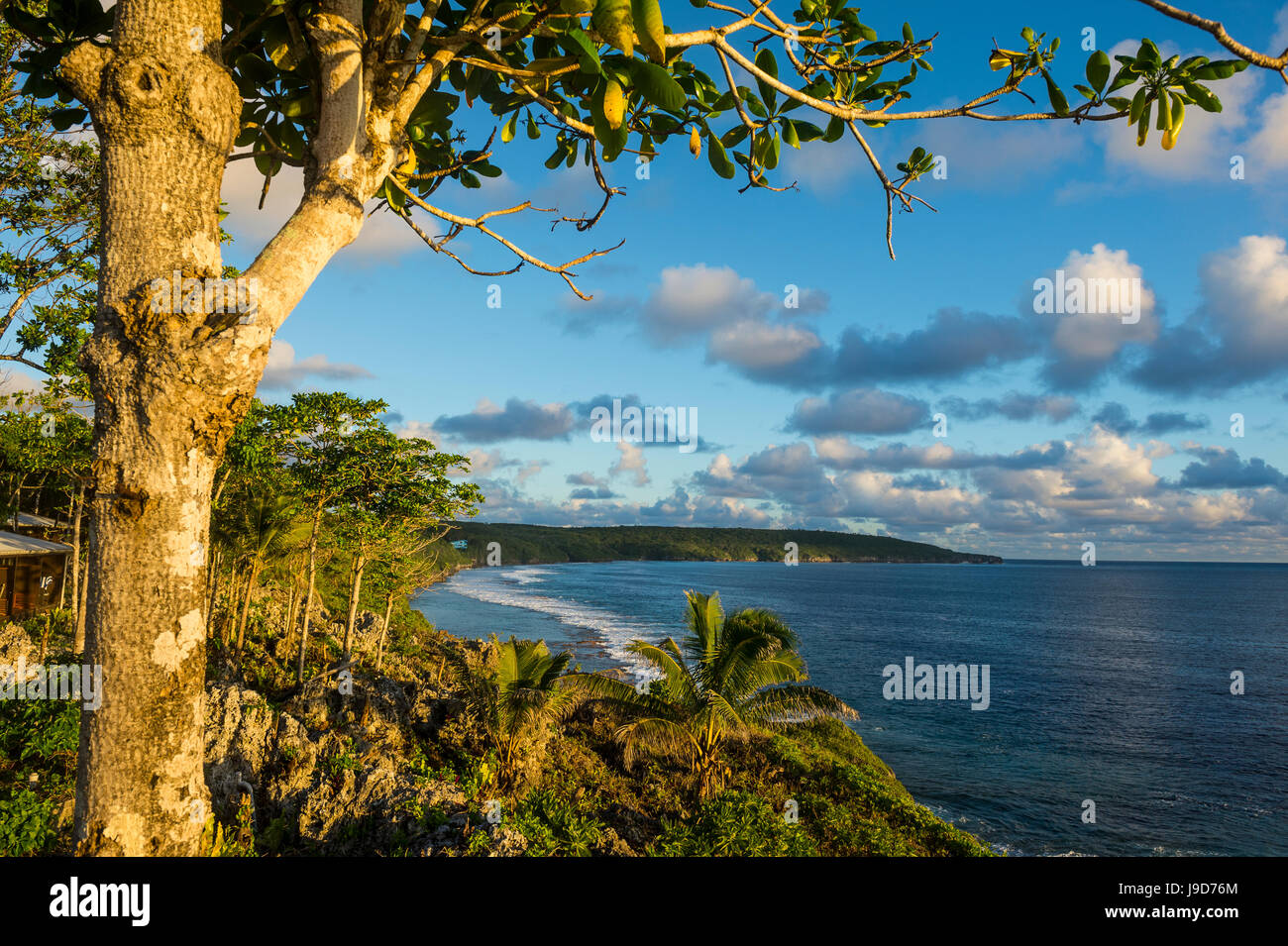 Vista sulla costa di Niue, South Pacific Pacific Foto Stock