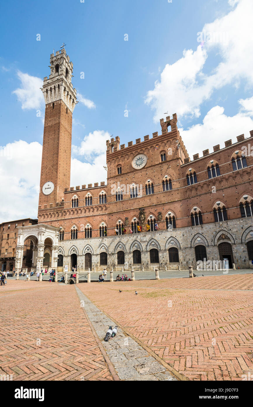 Vista della Piazza del Campo con lo storico Palazzo Pubblico e la sua Torre del Mangia, Siena, UNESCO, Toscana, Italia Foto Stock