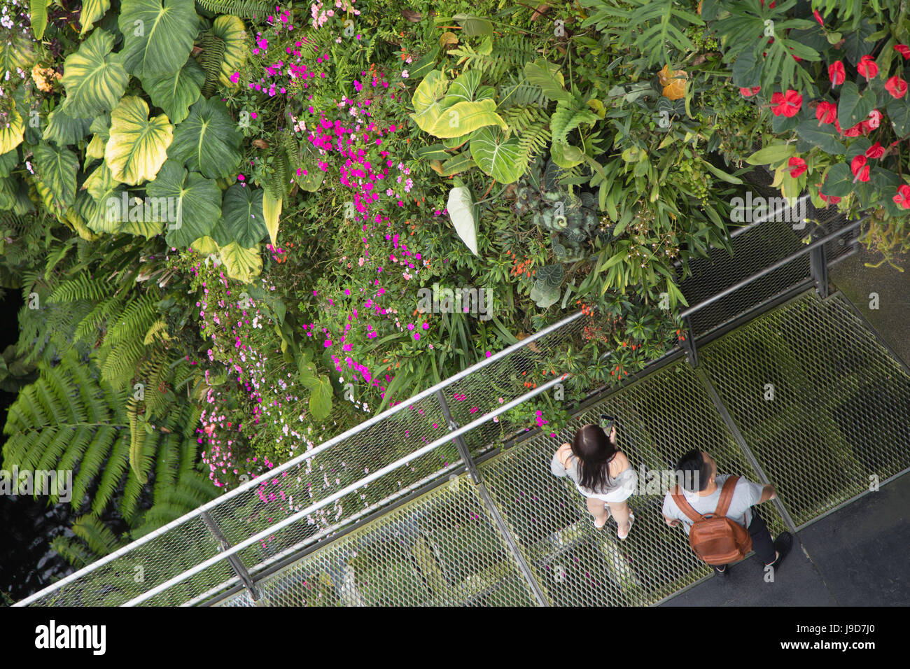 Cloud Forest serra in giardini dalla baia, Singapore, Sud-est asiatico, in Asia Foto Stock