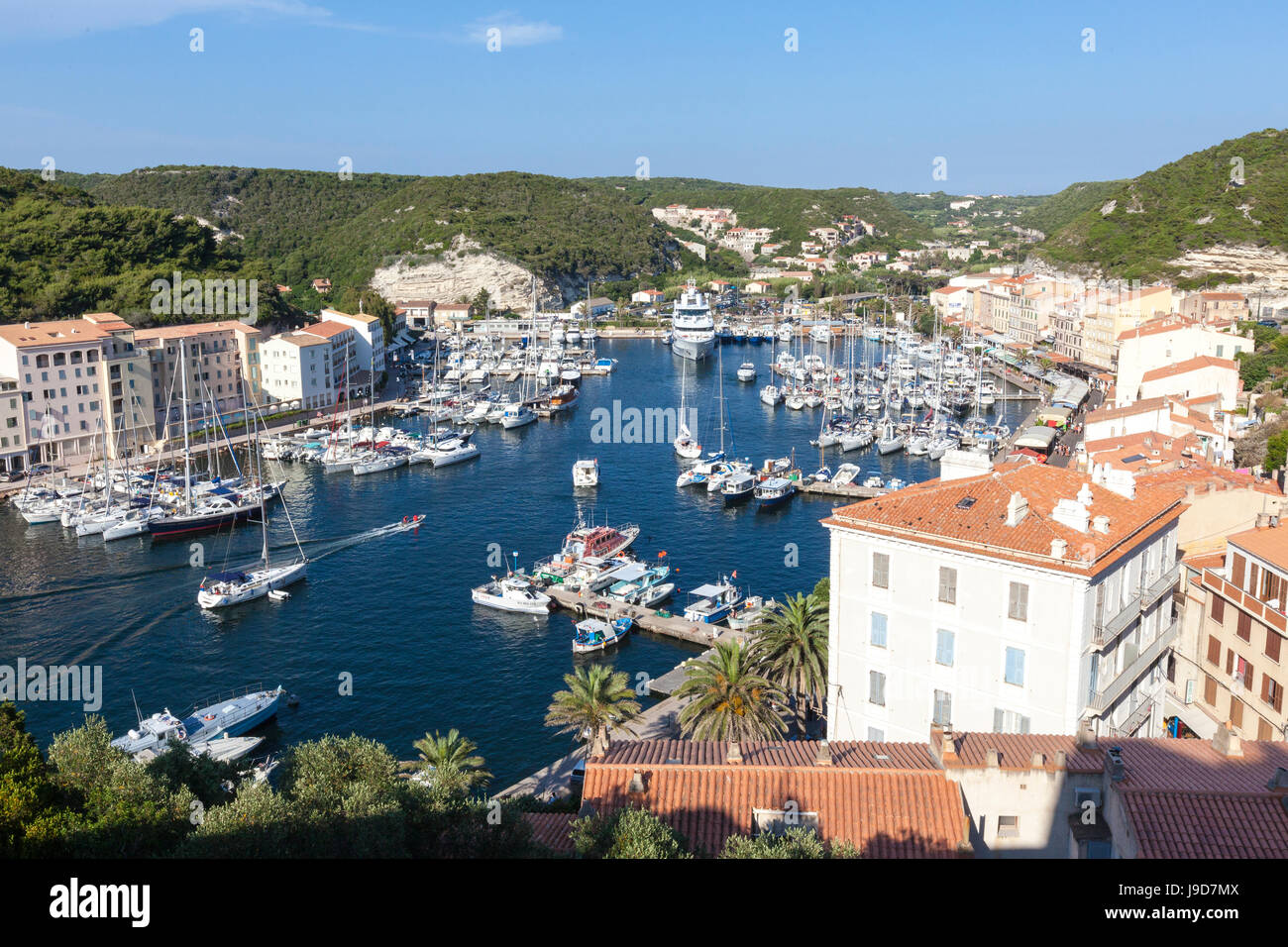 Il verde della vegetazione incornicia la città medievale e il porto, Bonifacio, Corsica, Francia, Mediterraneo, Europa Foto Stock