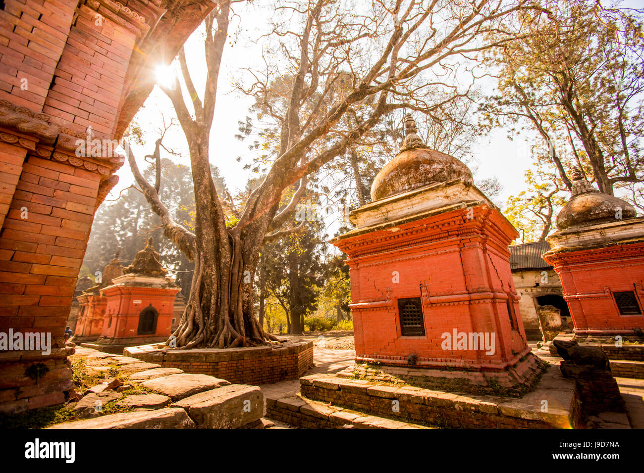 Tempio di Pashupati tombe, Kathmandu, Nepal, Asia Foto Stock