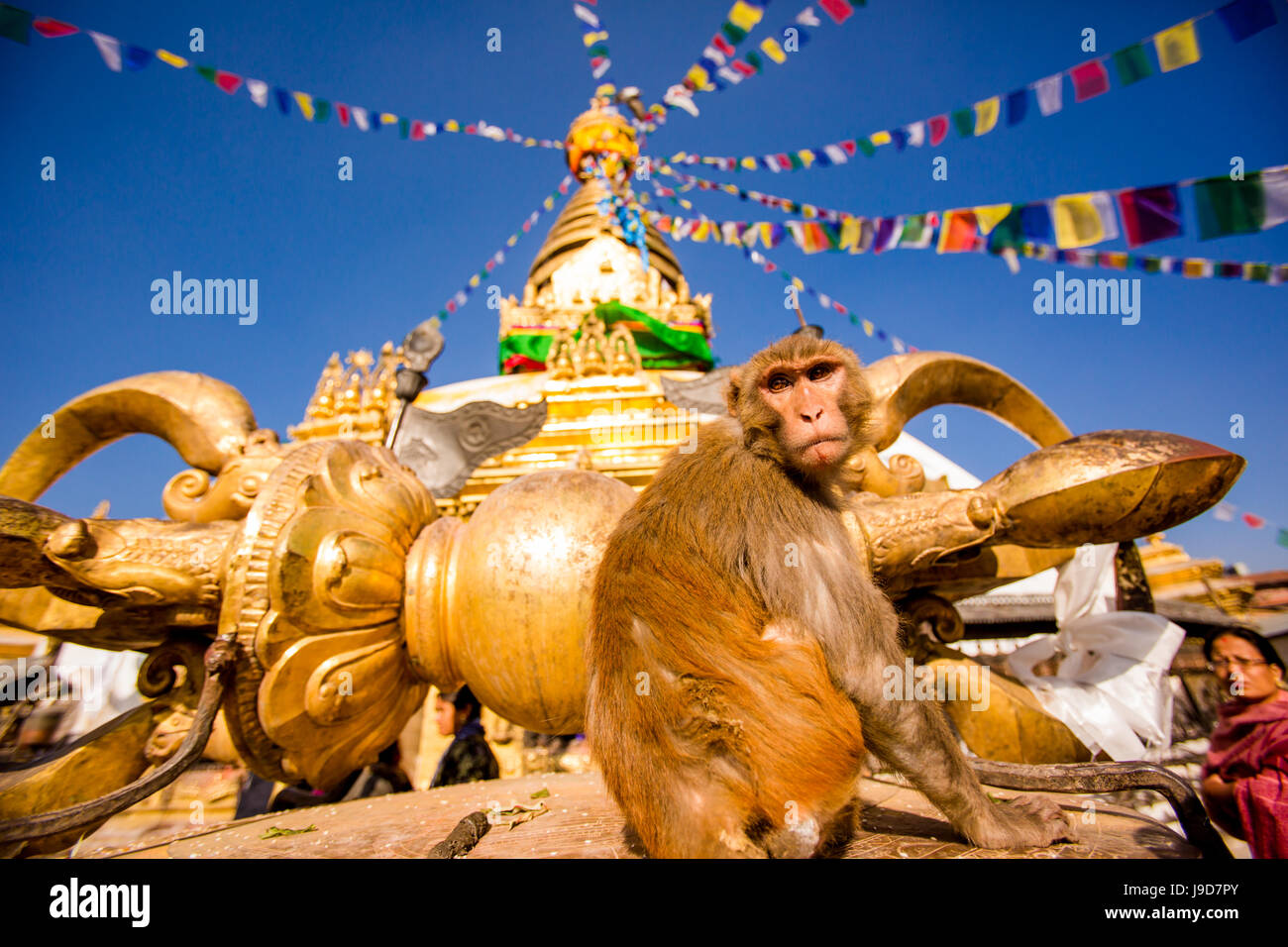 Sacro Tempio delle Scimmie (Swayambhunath Tempio), il Sito Patrimonio Mondiale dell'UNESCO, Kathmandu, Nepal, Asia Foto Stock