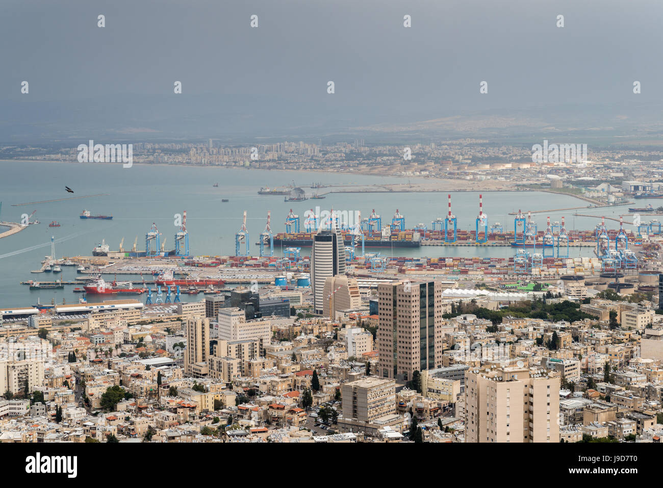 Vista sulla città e il porto di Haifa, Israele, Medio Oriente Foto Stock