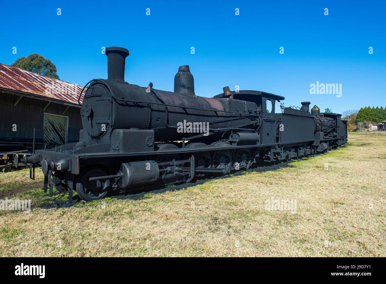 Vecchi treni a vapore dal Dorrigo linea ferroviaria, Dorrigo National Park, UNESCO, Nuovo Galles del Sud, Australia Pacific Foto Stock