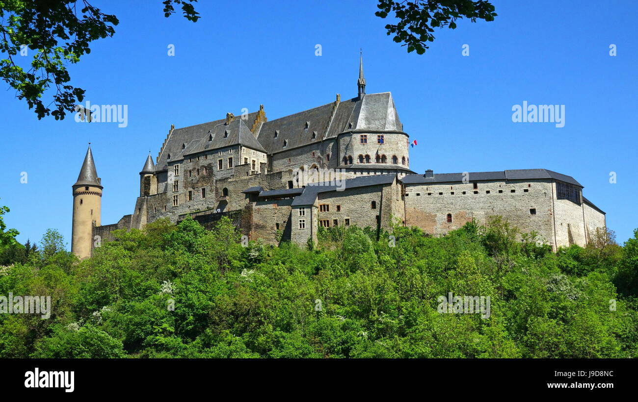 Il castello di Vianden nel cantone di Vianden, Granducato del Lussemburgo, Europa Foto Stock