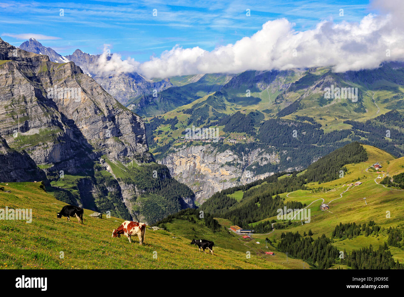 Vista dalla Kleine Scheidegg a Murren e Valle di Lauterbrunnen, Grindelwald, Oberland bernese, Svizzera, Europa Foto Stock