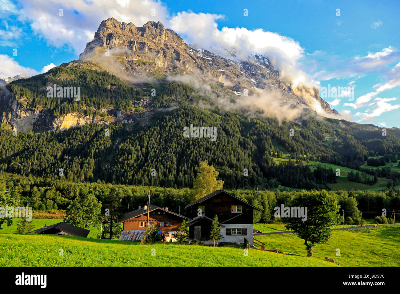 Eiger, Grindelwald, Oberland bernese, il Cantone di Berna, Svizzera, Europa Foto Stock