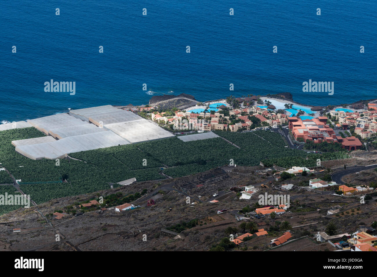 Piantagioni di banane, El Remo, isola di La Palma, Canarie, Atlantico, Europa Foto Stock