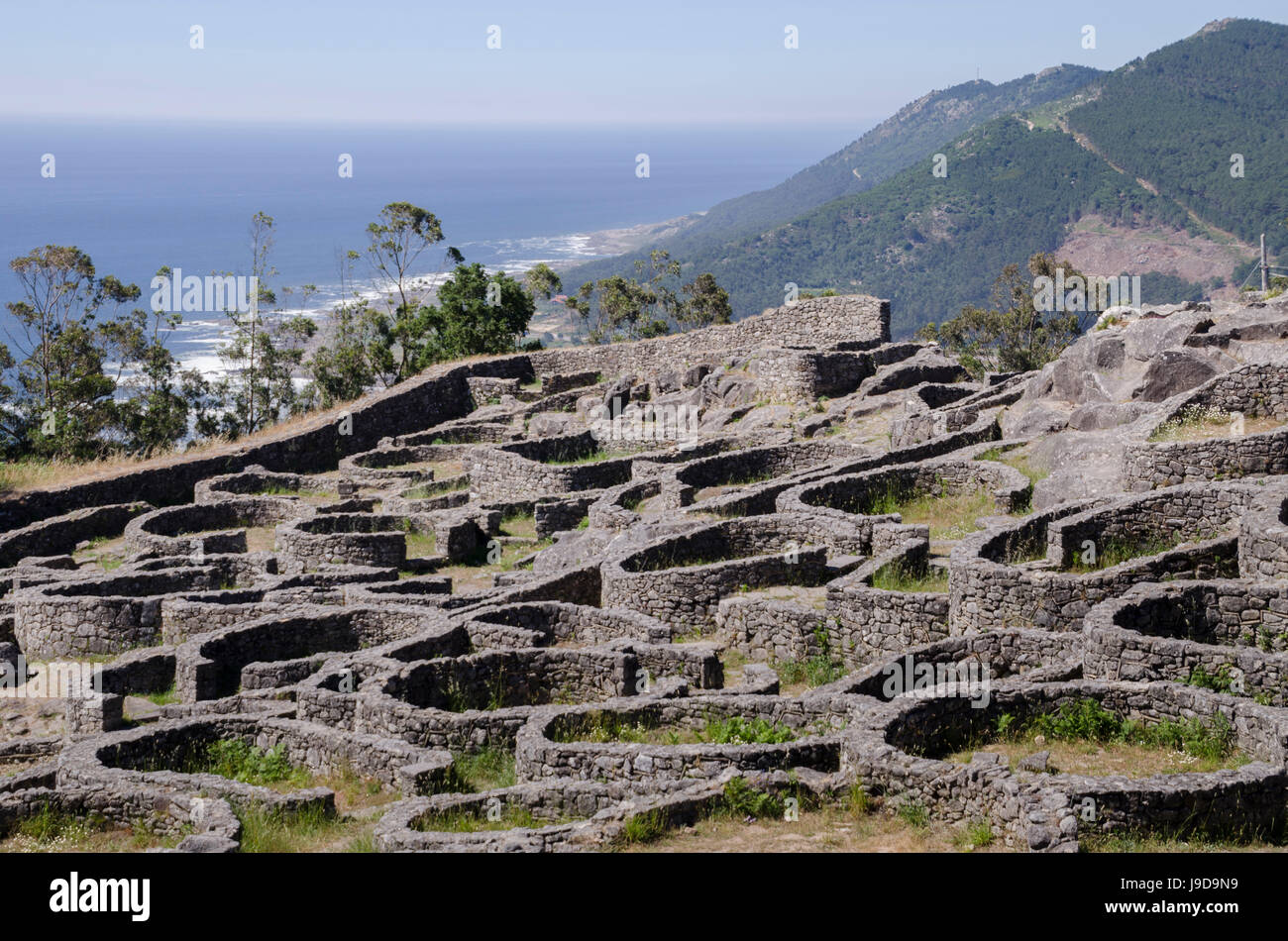 Celtic Castro di Santa Tegra, Pontevedra, Galizia, Spagna, Europa Foto Stock