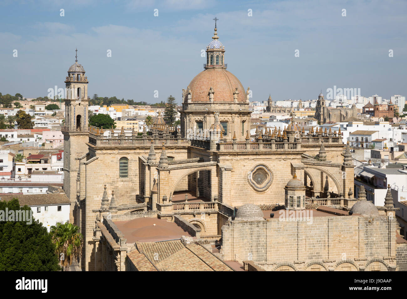 Jerez de la Frontera, Cattedrale di Jerez de la Frontera, la provincia di Cadiz Cadice, Andalusia, Spagna, Europa Foto Stock