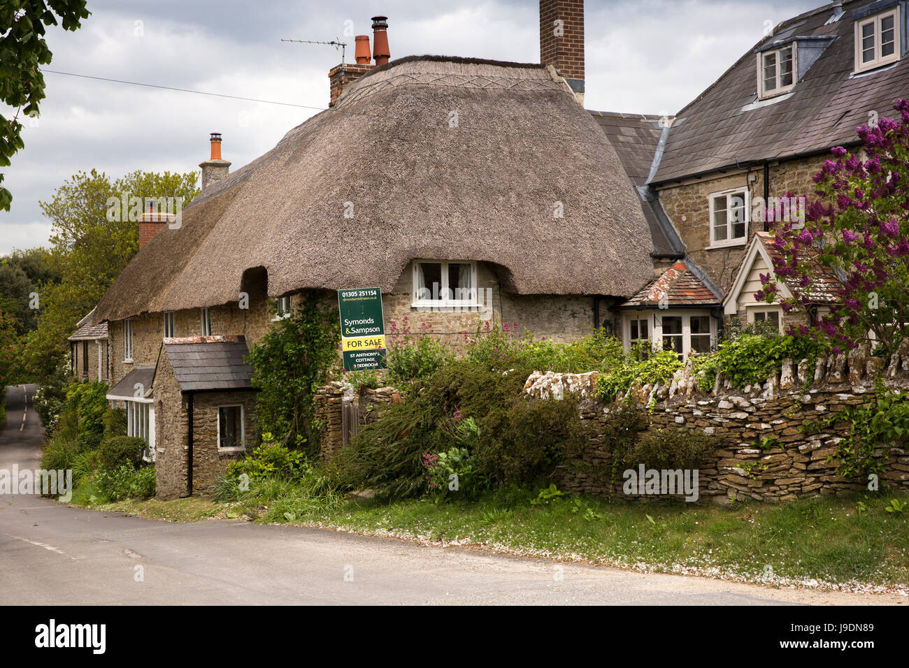 Regno Unito Inghilterra, Dorset, Langton aringa, Shop Lane, St Anthony's Cottage con 3 camere da letto con tetto di paglia di casa in vendita Foto Stock