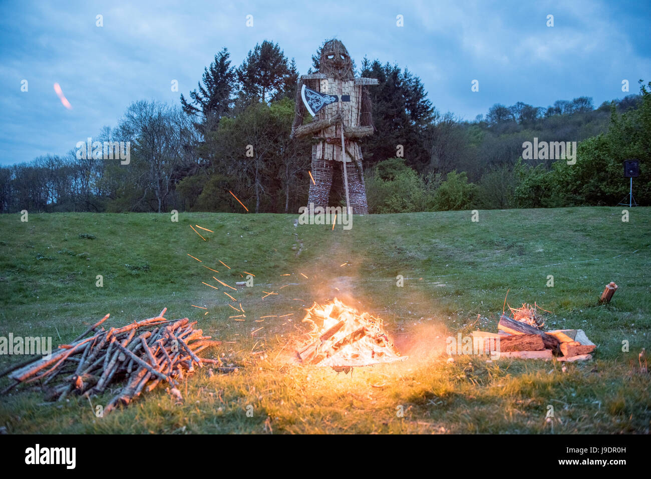Preparare e bruciare l'uomo di vimini al Festival di Beltain a Butser Ancient Farm, Hampshire, 29 aprile 2017 Foto Stock