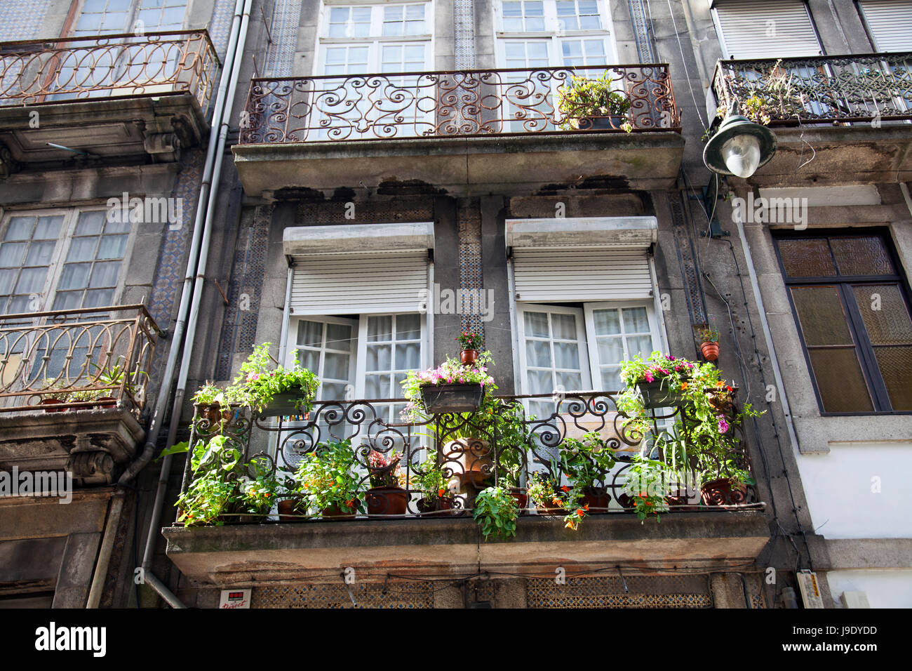 Balcone con piante su proprietà sulla Rua Das Taipas in Porto - Portogallo Foto Stock