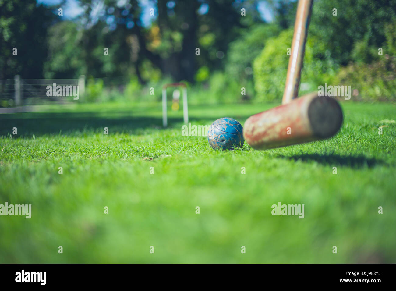 Un mazzuolo per croquet è di colpire una pallina su di un prato Foto Stock