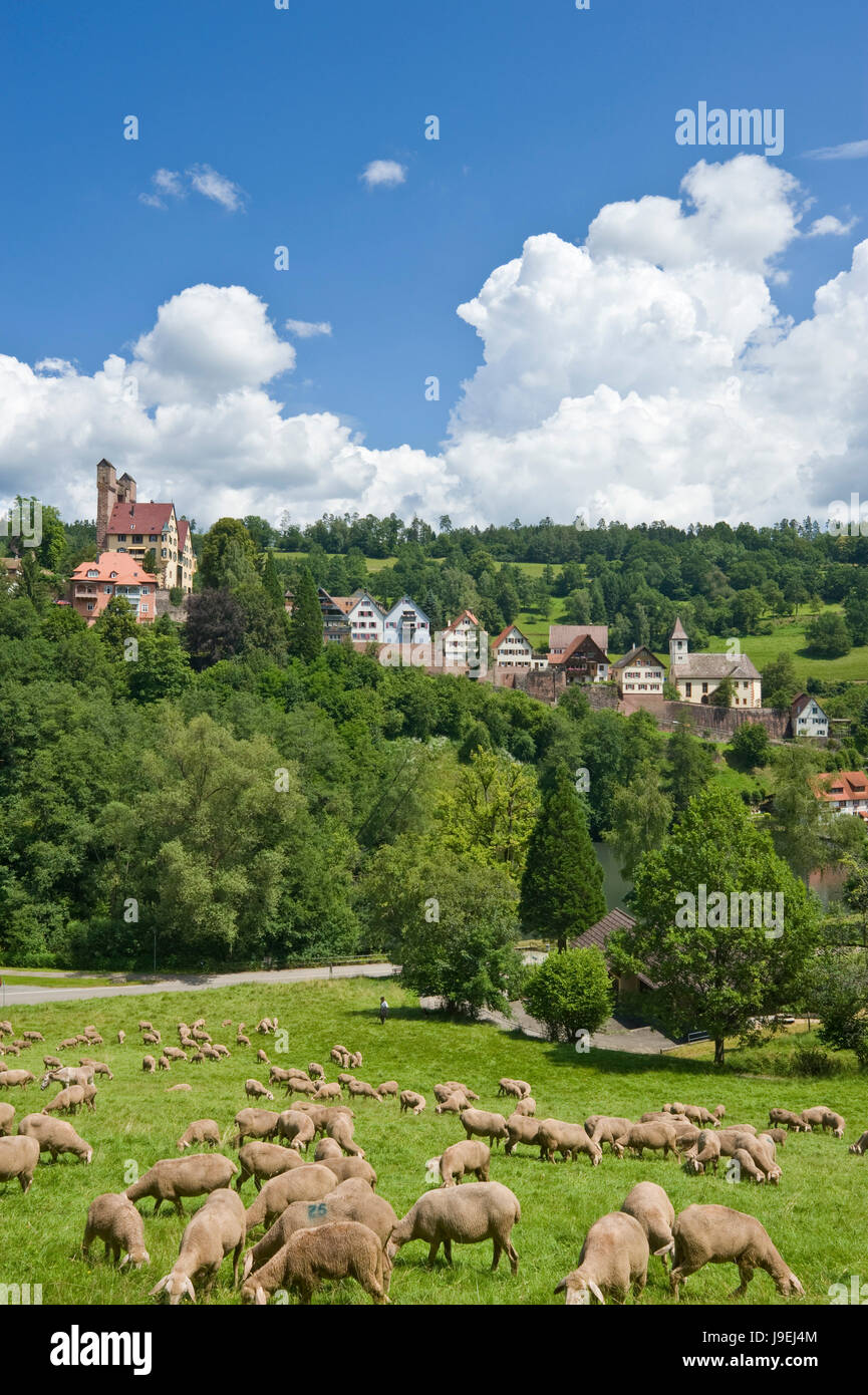 Burg berneck Foto Stock