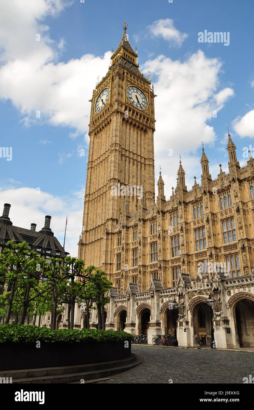 Londra, bell punch, torre, albero, alberi, verde, marrone, marrone, brunette, quattro Foto Stock