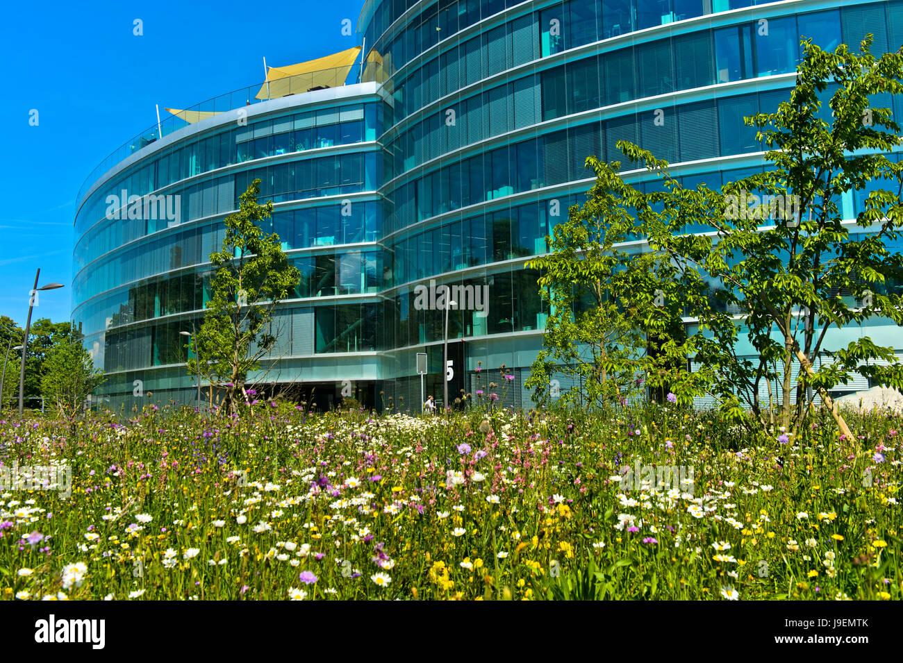 Maison de la Paix, Casa della Pace, Istituto di alti studi internazionali e sullo sviluppo, IHEID,Ginevra, Svizzera Foto Stock