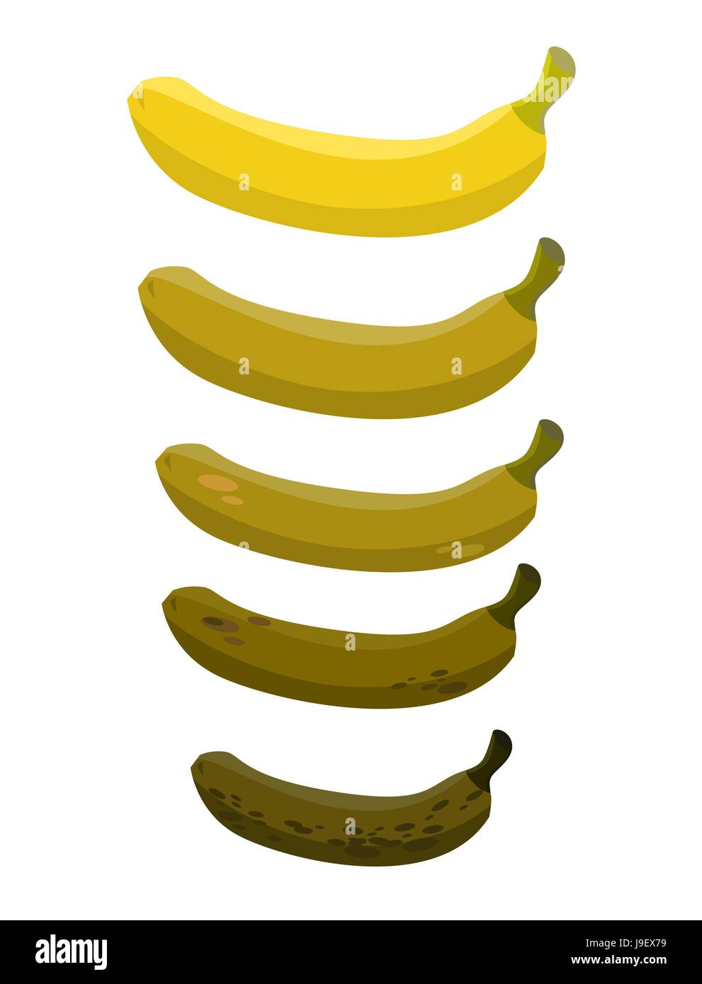 Banana. Stadio di marciume banana. Bel colore giallo di banane fresche e vecchi frutta marcia. Illustrazione Vettoriale
