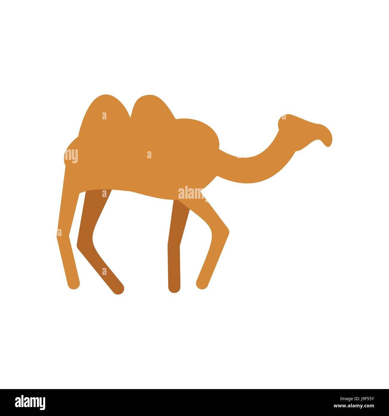Camel isolato. Gli animali del deserto su sfondo bianco Illustrazione Vettoriale