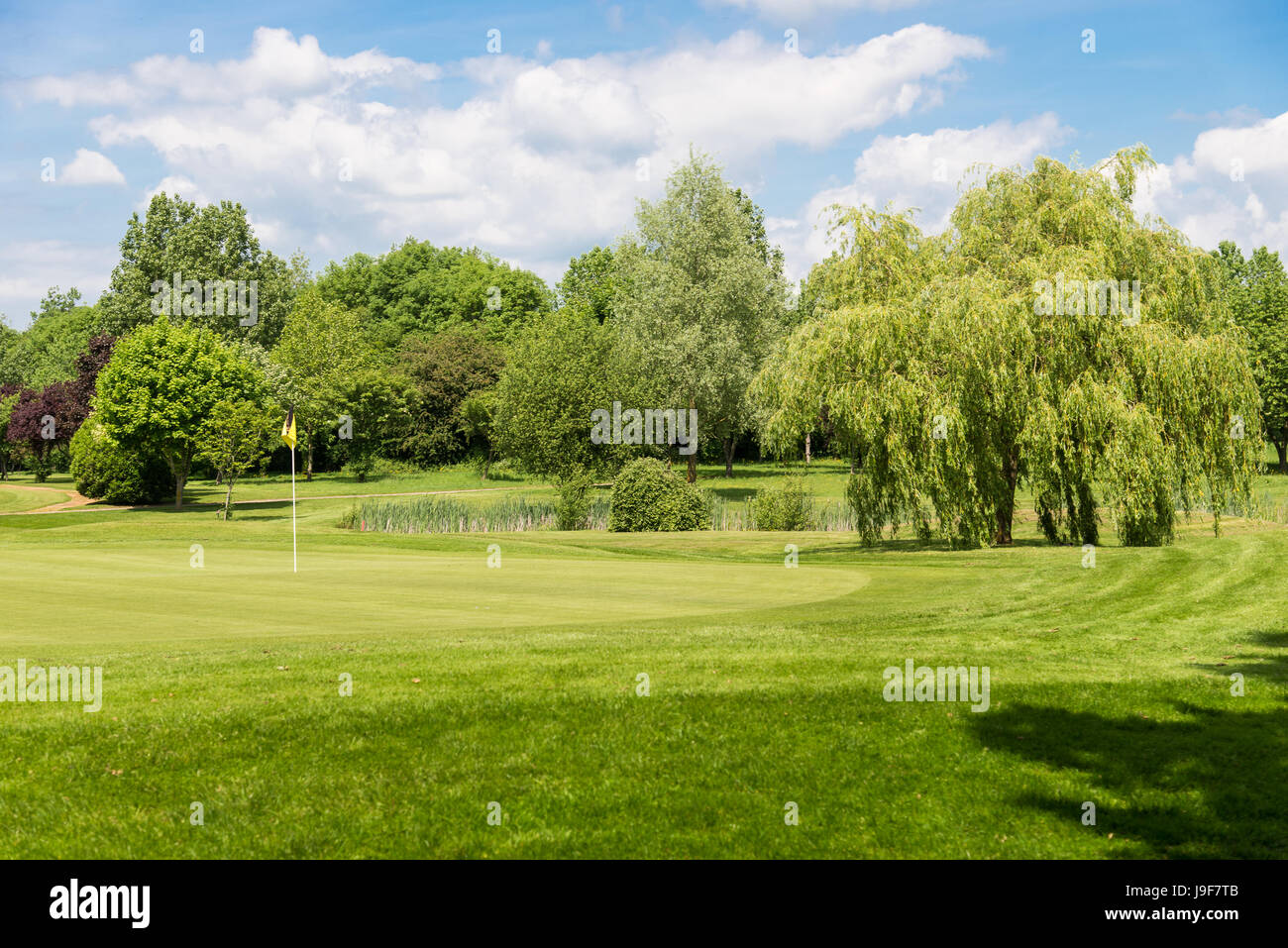 Inglese Corso di Golf - Putting Green con bandiera gialla e circondato da alberi e il lago e cielo blu Foto Stock