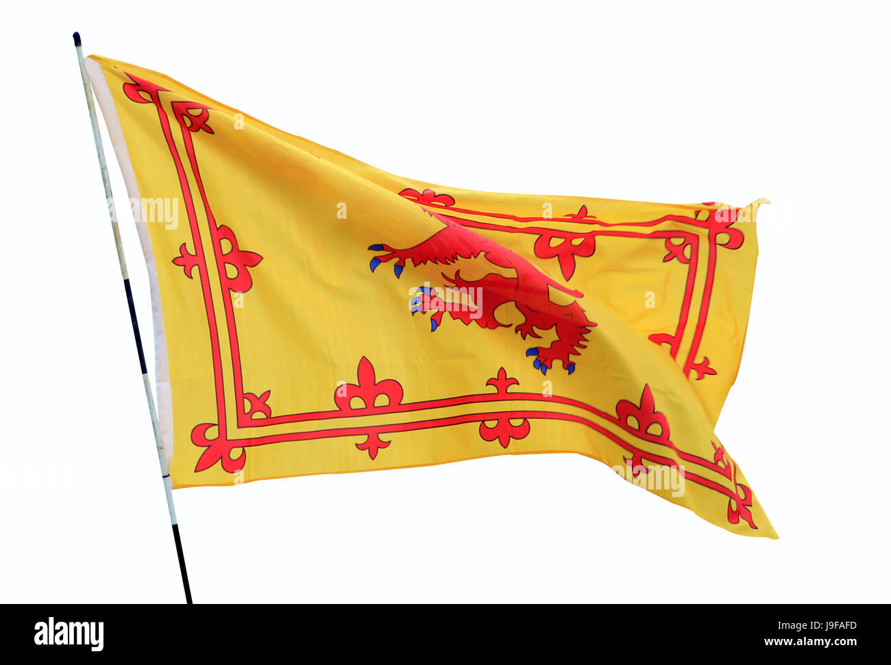 Isolato, lion, gatto, Gatto grande, predatore felino, araldica, elemento inglesi, Foto Stock