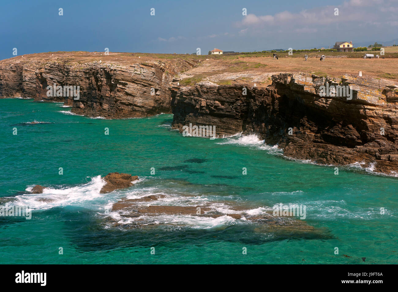 Sea Cliff, Ribadeo Lugo, provincia, regione della Galizia, Spagna, Europa Foto Stock