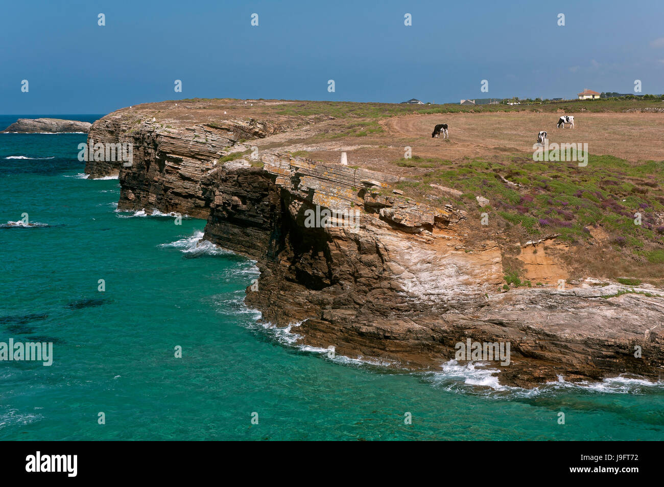 Sea Cliff, Ribadeo Lugo, provincia, regione della Galizia, Spagna, Europa Foto Stock