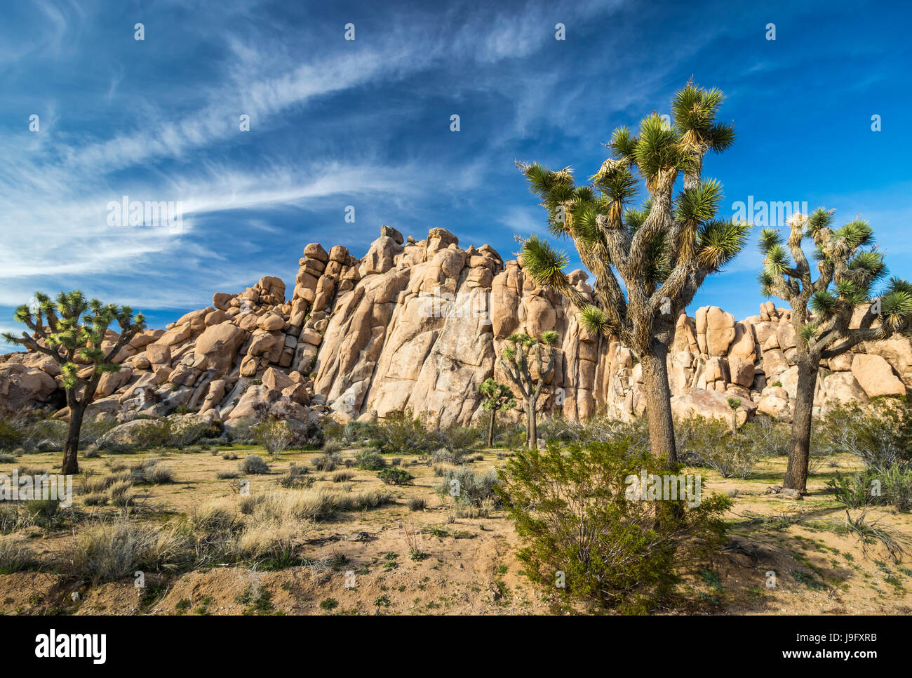 Rocce Jumbo a Joshua Tree National Park, California, Stati Uniti d'America. Foto Stock