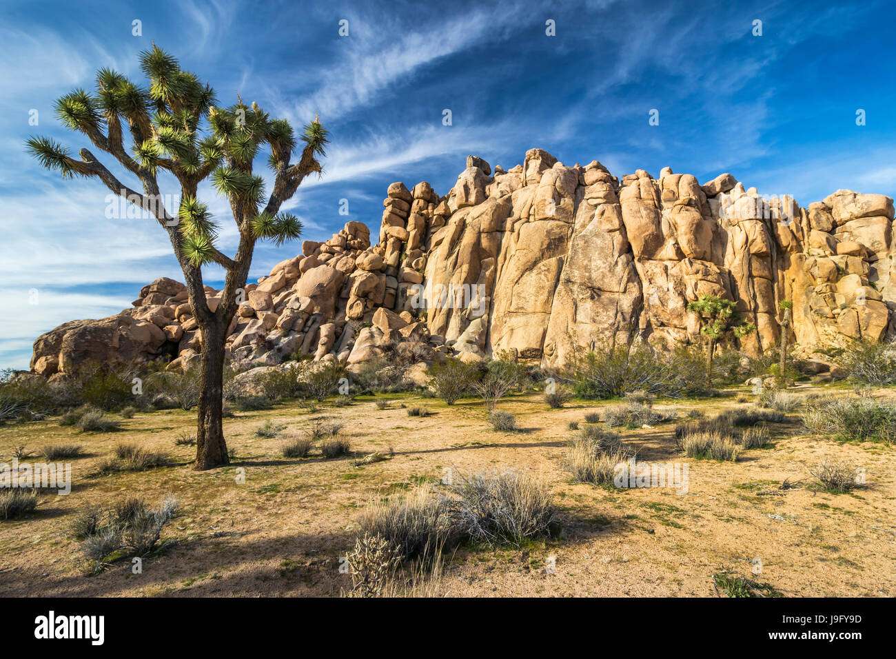 Rocce Jumbo a Joshua Tree National Park, California, Stati Uniti d'America. Foto Stock