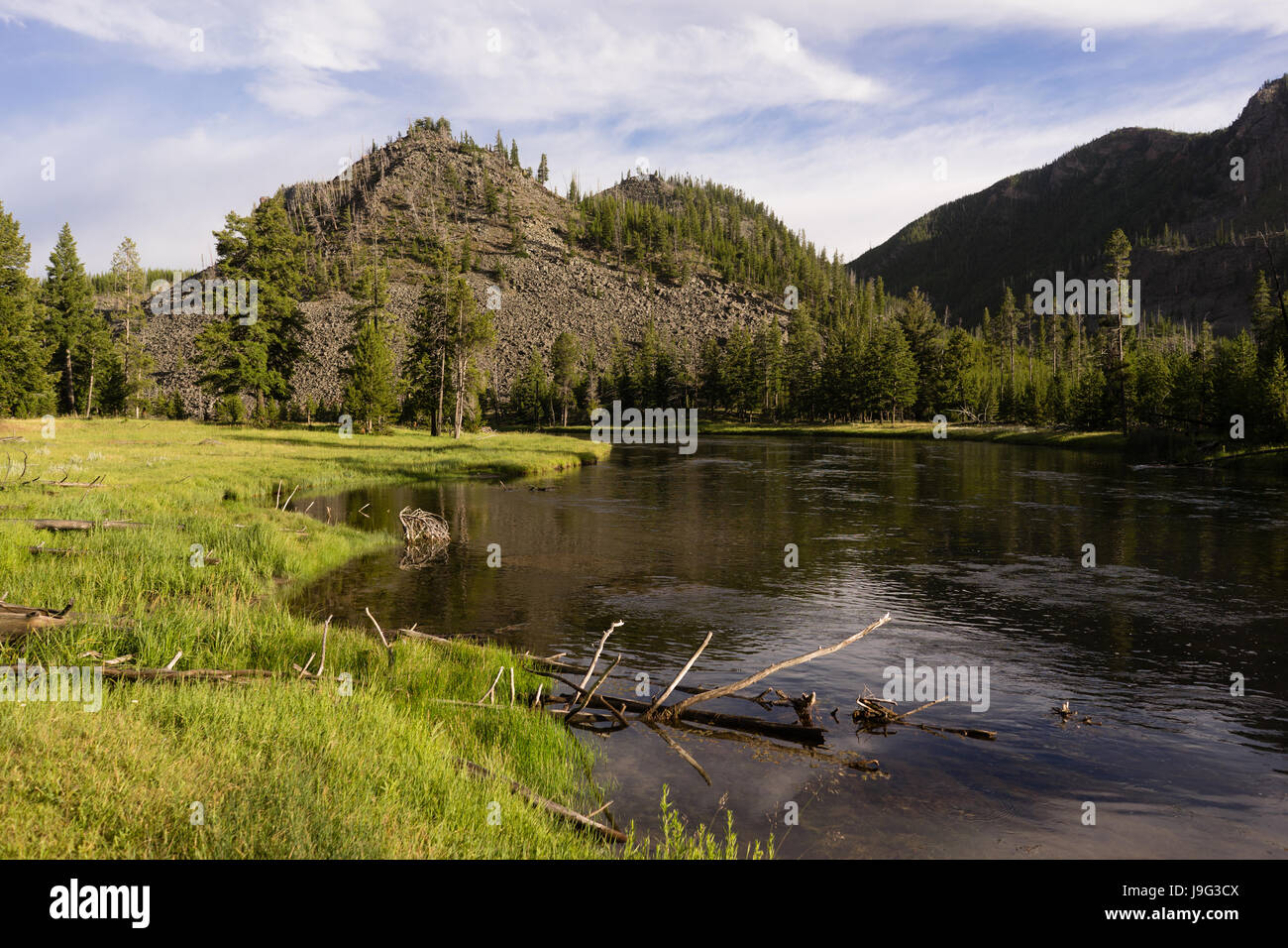 La base del Monte Haynes è visto accanto al Madison nel fiume Yellowstone Foto Stock