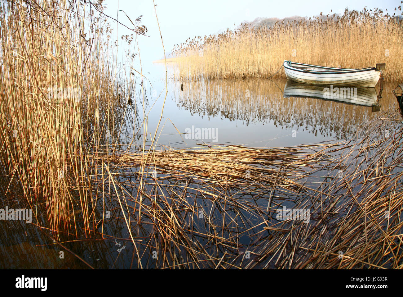 Vista su un bellissimo lago paesaggio in Scandinavia in Danimarca Foto Stock