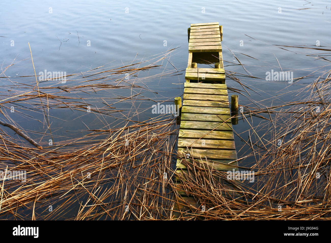 Vista su un bellissimo lago paesaggio in Scandinavia in Danimarca Foto Stock